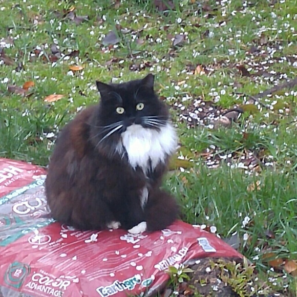 Meet your Posher, Anna - Picture 7 of 8